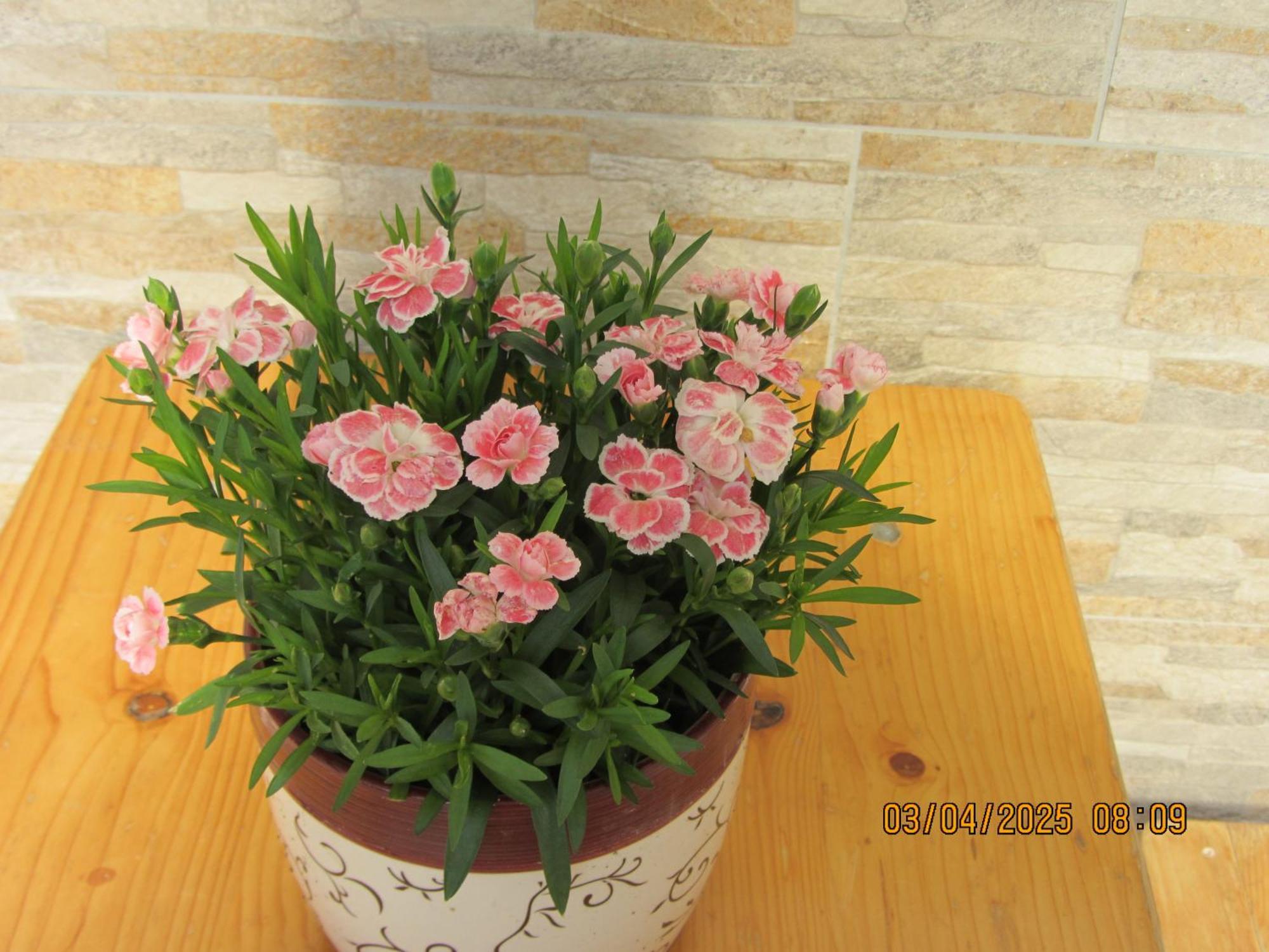 Apartma Vilma Kobarid Dış mekan fotoğraf